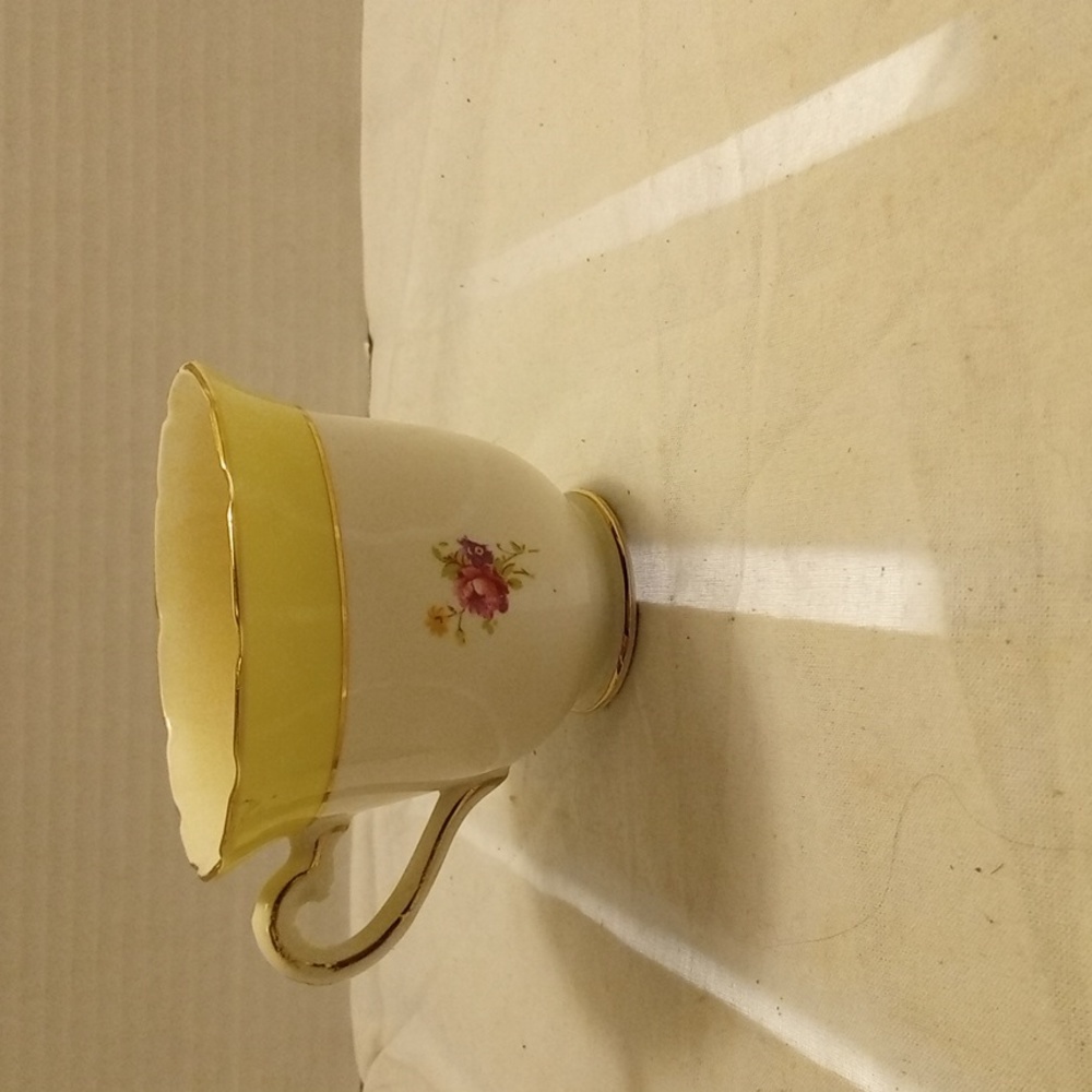 Rosina Pale Yellow & White Bone China Cup